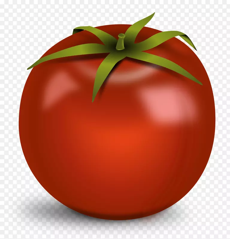 剪贴画png图片番茄汤透明莎莎蔬菜