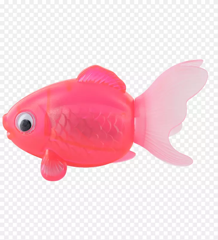 金鱼塑料-金鱼透明