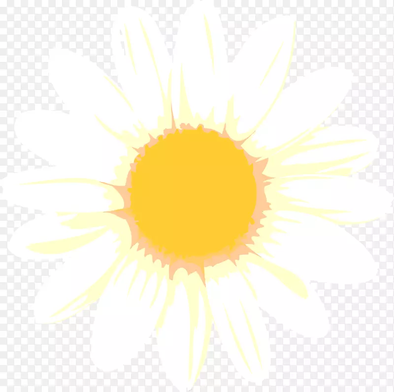 向日葵m桌面壁纸电脑字体向日葵