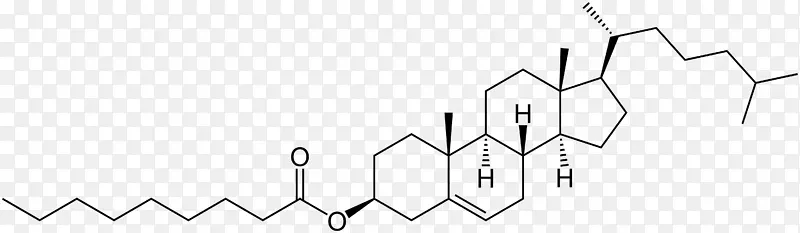 药物化学物质甾体生物碱中药学酯