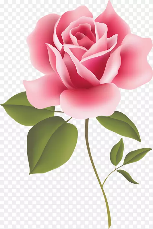 剪贴画玫瑰花卉设计-玫瑰