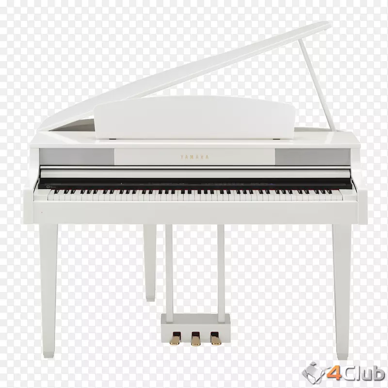 数字钢琴，电子键盘，音乐键盘手，钢琴，克劳维诺娃.乐器