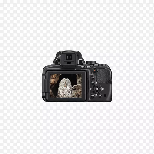 尼康库尔皮克斯p 900相机摄影变焦镜头照相机
