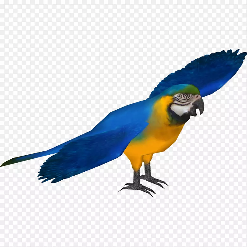 蓝黄色金刚鹦鹉，深红金刚鹦鹉，蓝喉金刚鹦鹉李尔的金刚鹦鹉