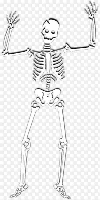 剪贴画人体骨骼图像绘制.骨架