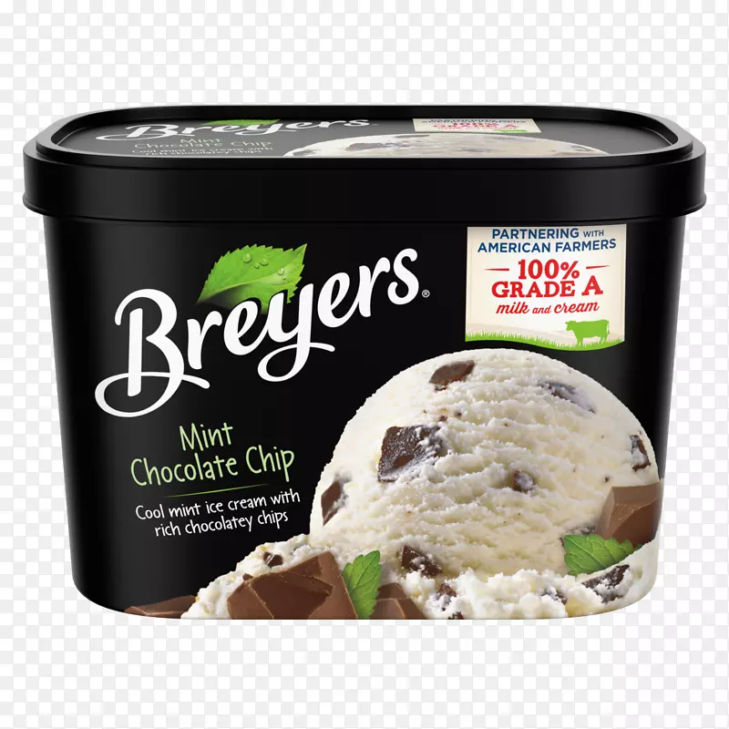 冰淇淋薄荷巧克力片布雷耶斯冰淇淋