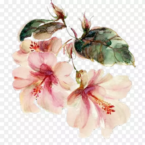 水彩画花卉图案