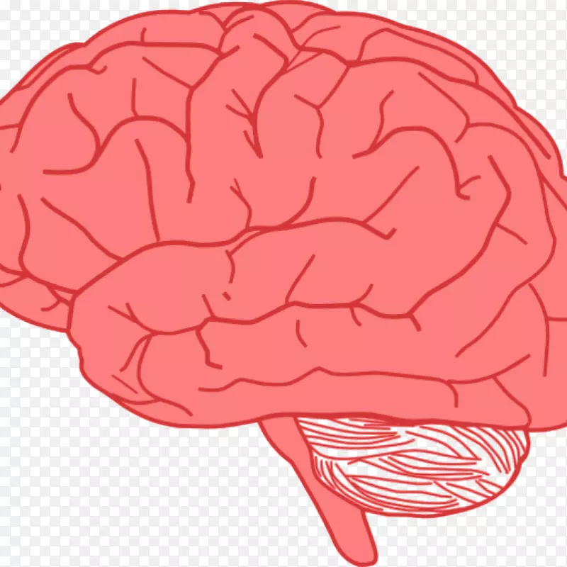 剪贴画-人脑图形绘制-大脑
