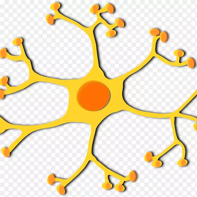 运动神经元剪贴术图形神经系统.神经