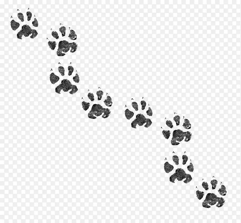 狗猫爪动物足迹-狗