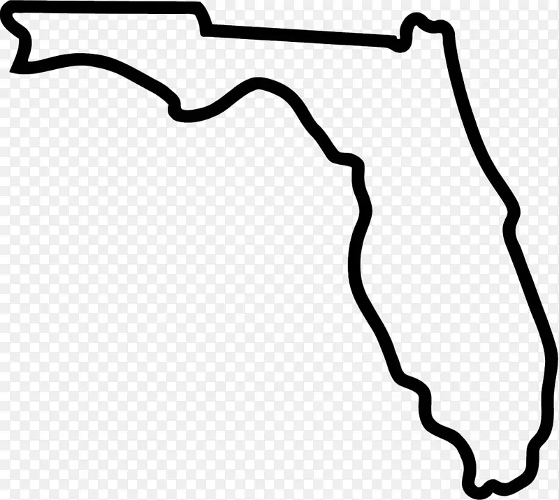 南佛罗里达大学，标记佛罗里达鳄鱼，足球贴纸，南佛罗里达公牛-佛罗里达州