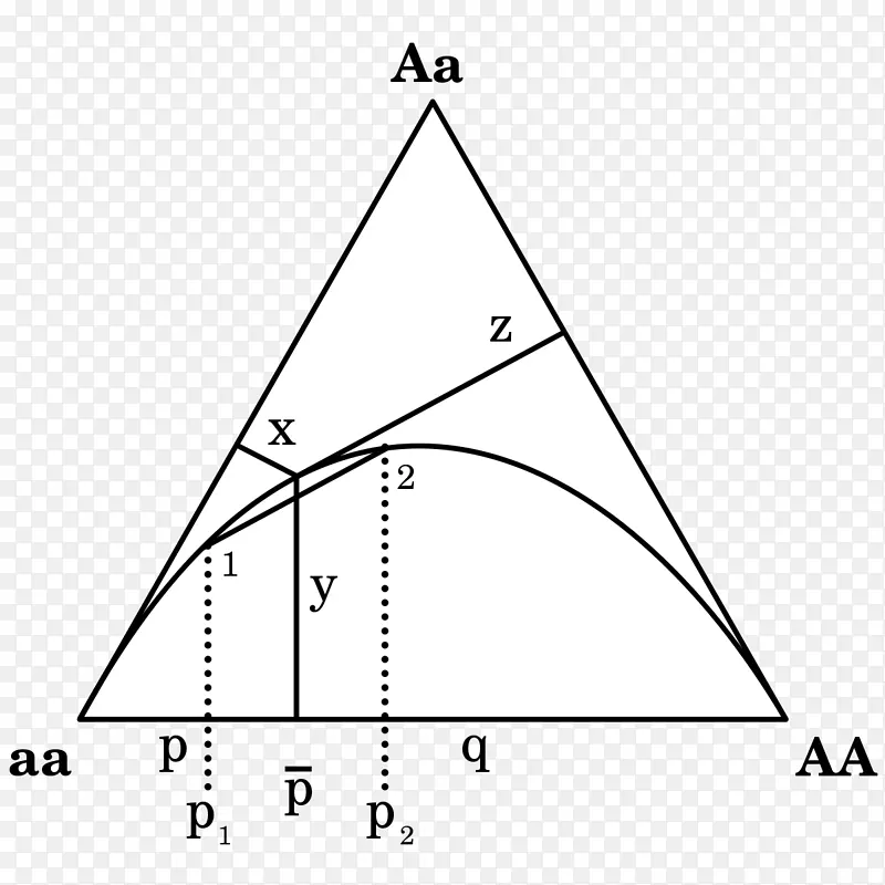 德芬内蒂图哈代-温伯格原理基因型频率三元三角图