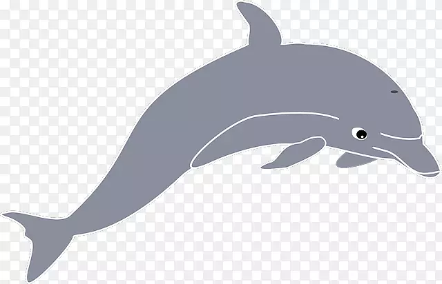 剪贴画海豚开放图片免费内容-海豚