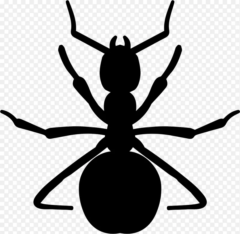 剪贴画蚂蚁昆虫节肢动物图形昆虫