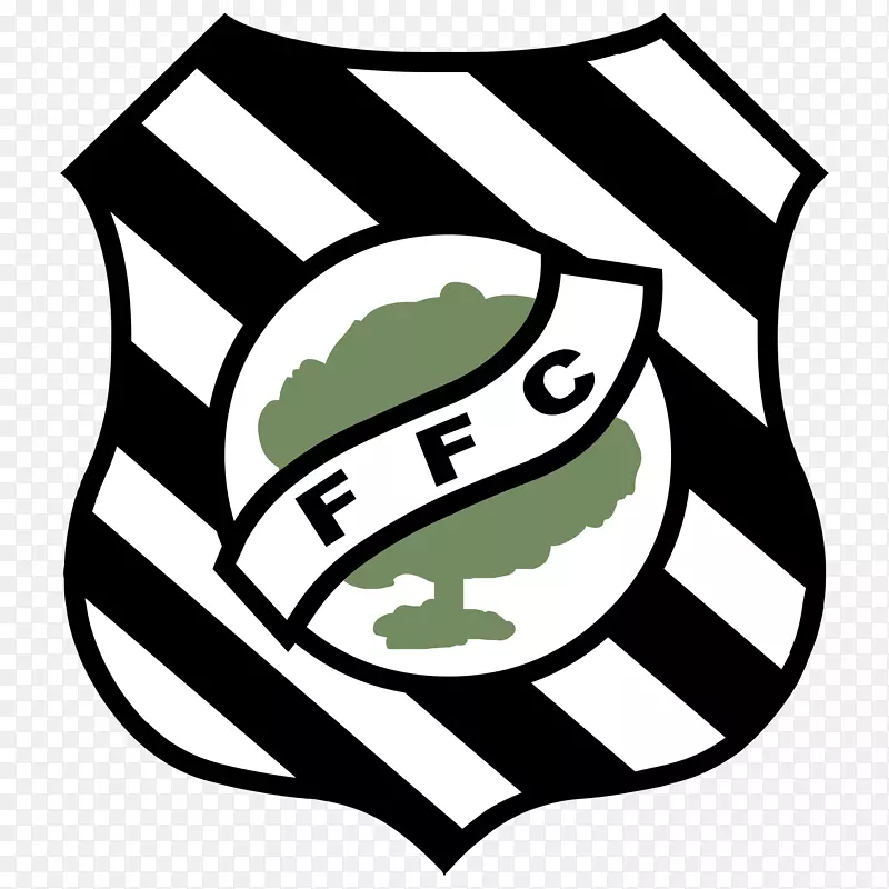 Fgueirense FC Campeonato Catarinense巴西足球美洲杯巴西足球
