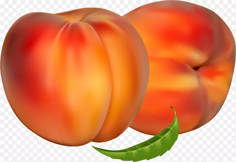 剪贴画水果油桃图形-番茄