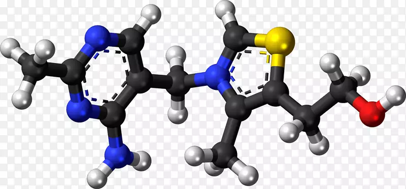 硫胺素缺乏症维生素分子硫氨酸酶维生素丸