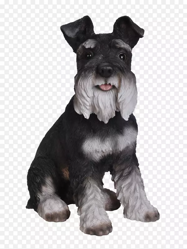 小型雪纳瑞标准雪诺犬苏格兰猎犬赛斯基犬-小狗