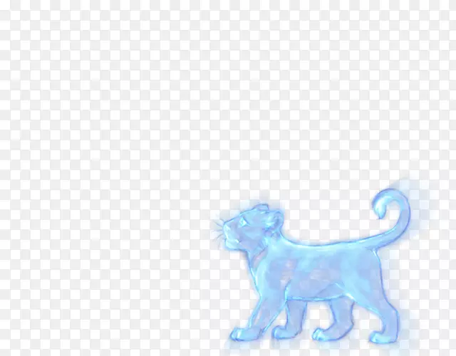 猫狮口哨狗视频-猫