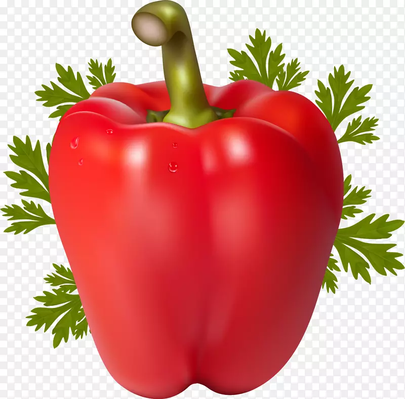 番茄辣椒，甜椒，蔬菜辣椒-番茄