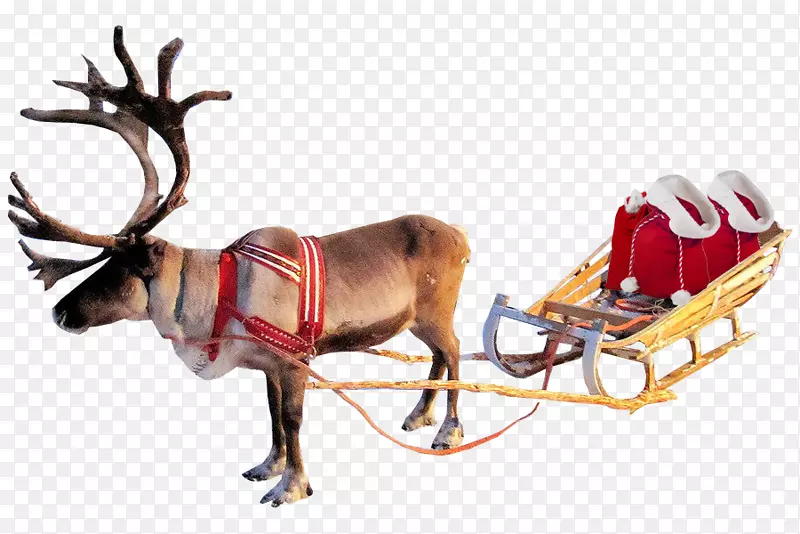 驯鹿圣诞老人剪贴画png图片透明度驯鹿