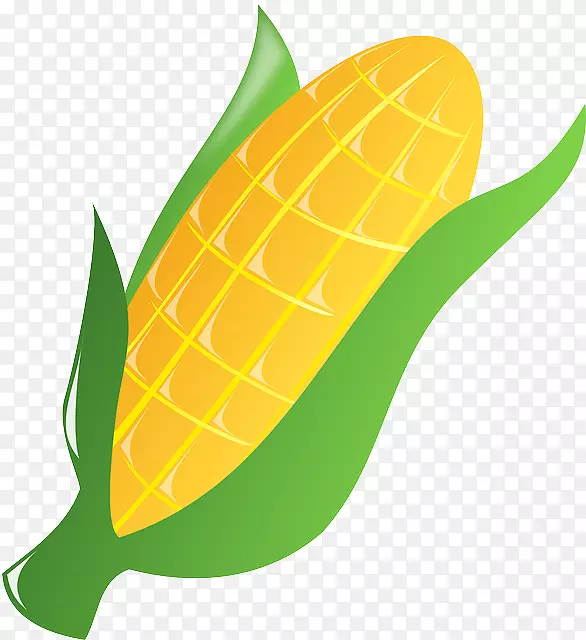 玉米芯上的玉米夹艺术开放部分-玉米