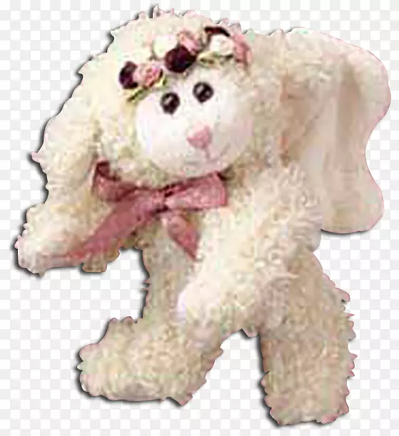 狮子狗毛绒玩具&可爱的玩具狗繁殖非运动团体-小狗