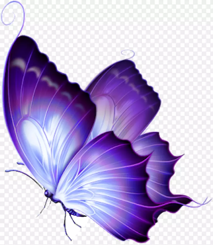 蝴蝶剪贴画png图片图像紫蝶
