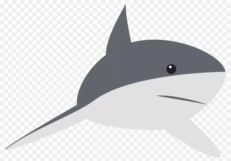 鲨鱼动物群海豚-鲨鱼