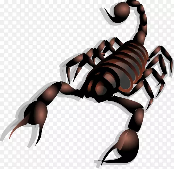 蝎子剪贴画开放图免费内容蝎子