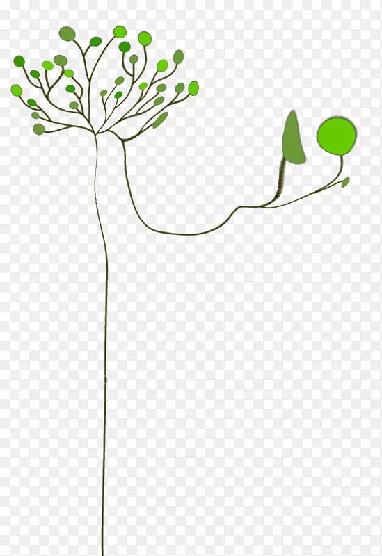 电子邮件每日剪辑艺术叶植物茎-img_tree.png