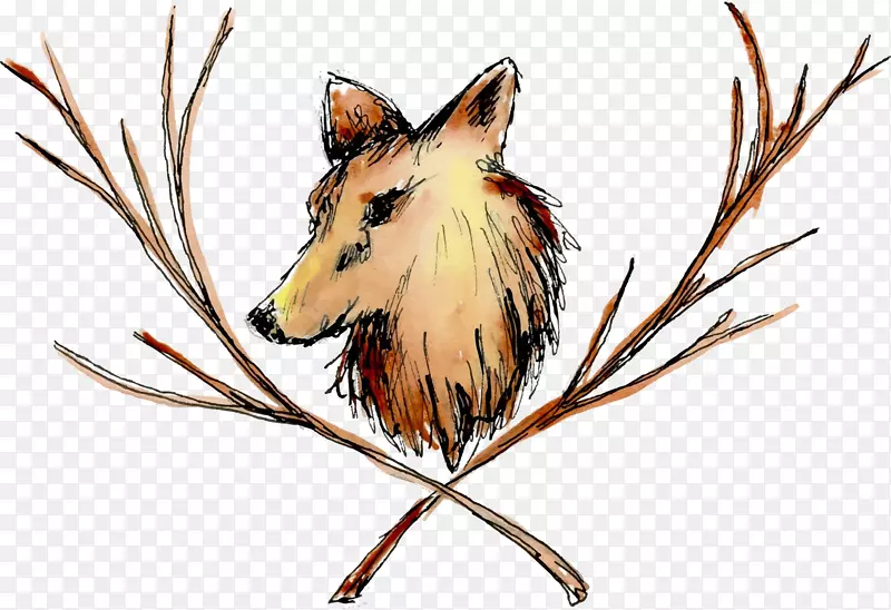 鹿插图动物狐狸Neue Westf lische-鹿
