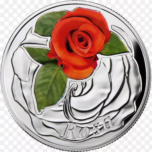花园玫瑰银币花硬币