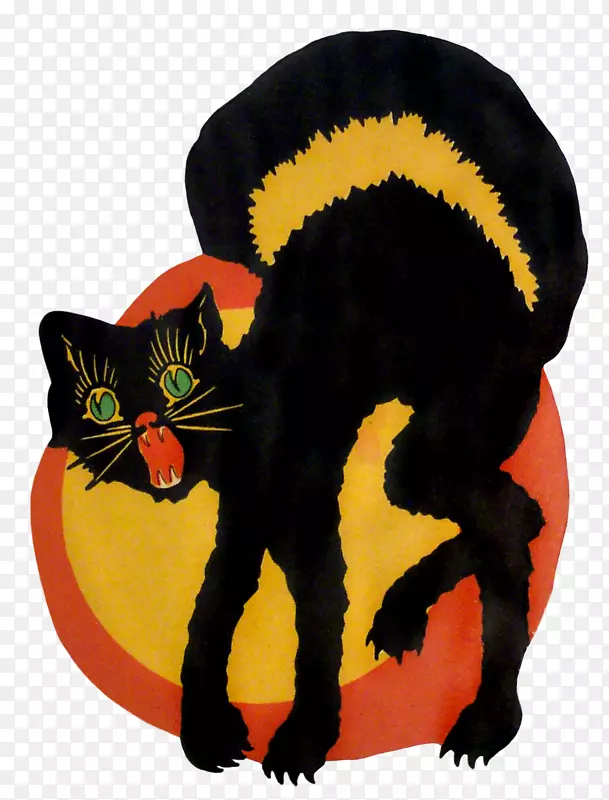 黑猫孟买猫万圣节家庭短毛猫须-万圣节