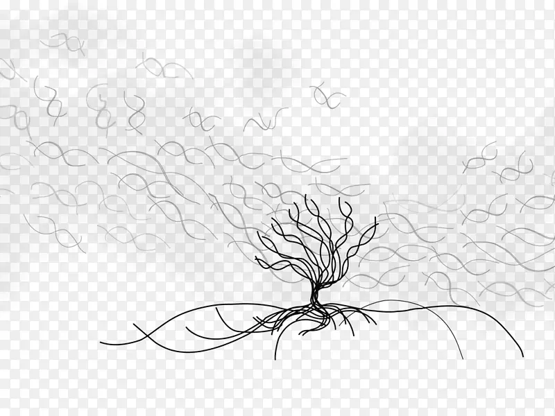 素描视觉艺术插图线艺术植物茎海葵