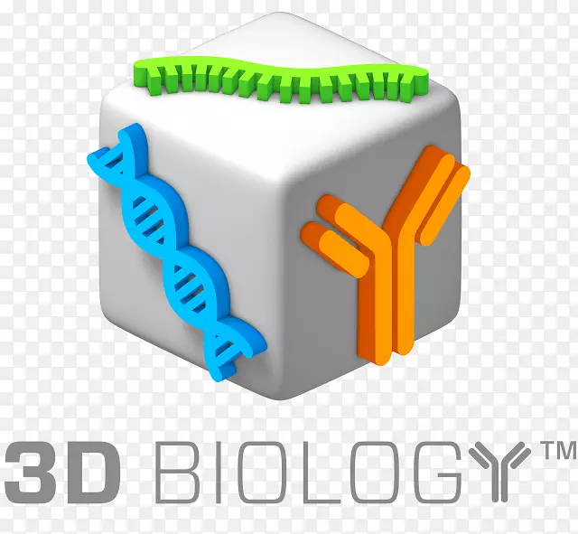 生物纳米线技术基因组DNA三维计算机图形.期刊书写格式生物学