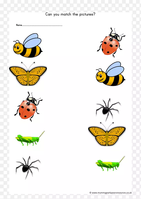 蜜蜂剪贴画大黄蜂蝴蝶-蜜蜂