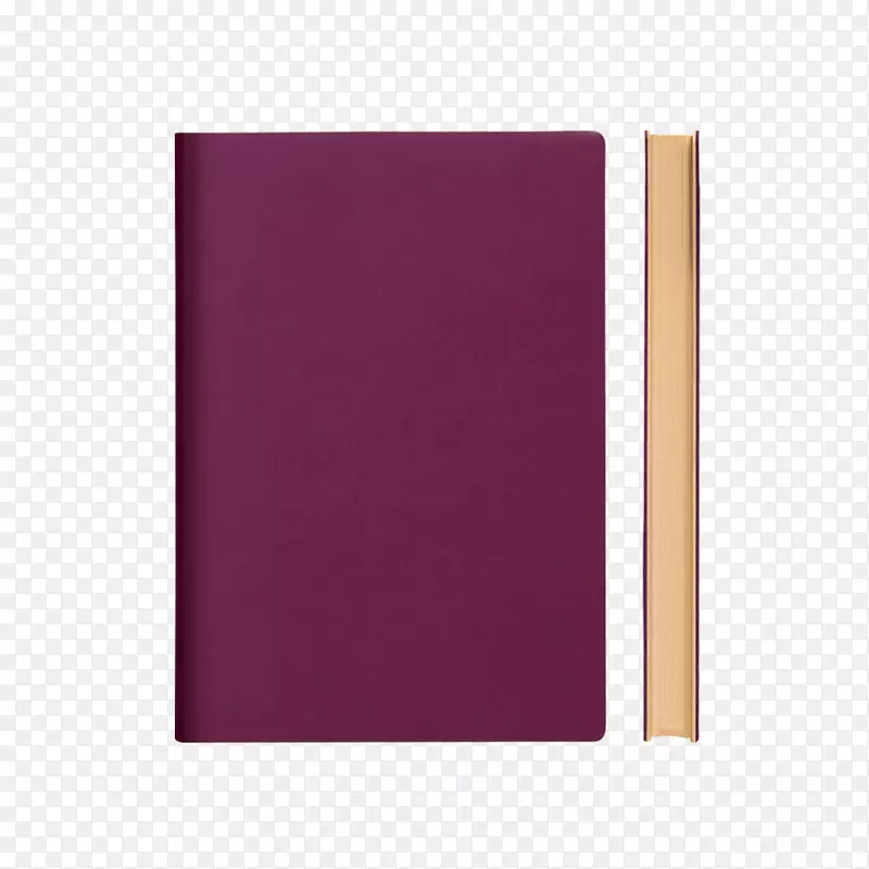 标准纸张尺寸笔记本Блокнот紫色笔记本
