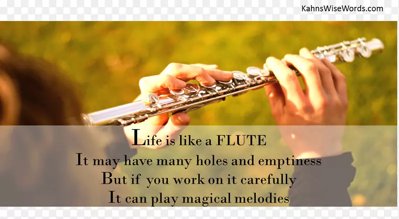 长笛，木管乐器，音乐家，乐器-长笛