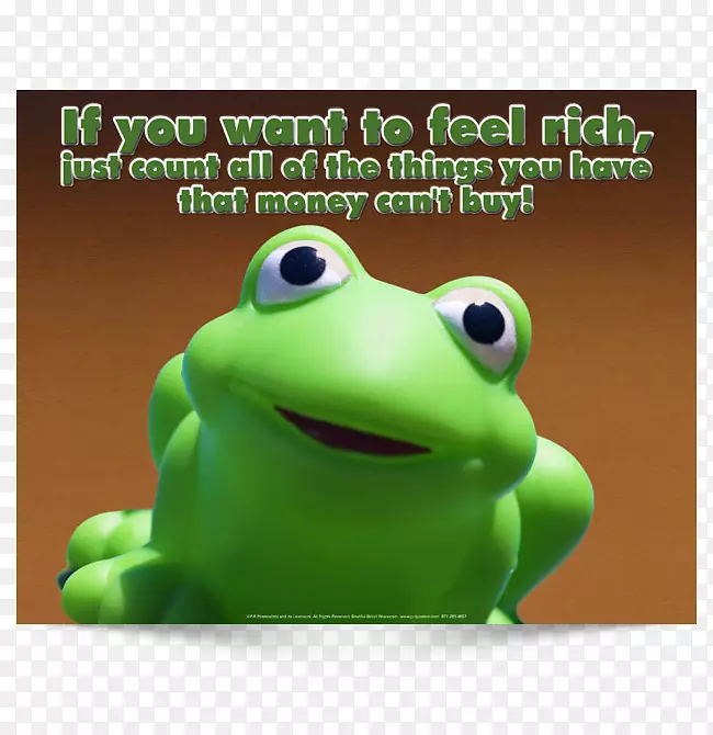 树蛙真蛙产品设计-青蛙