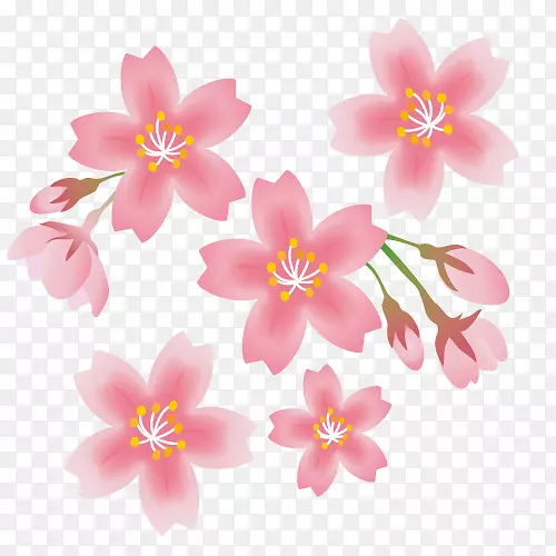 樱花夹艺术