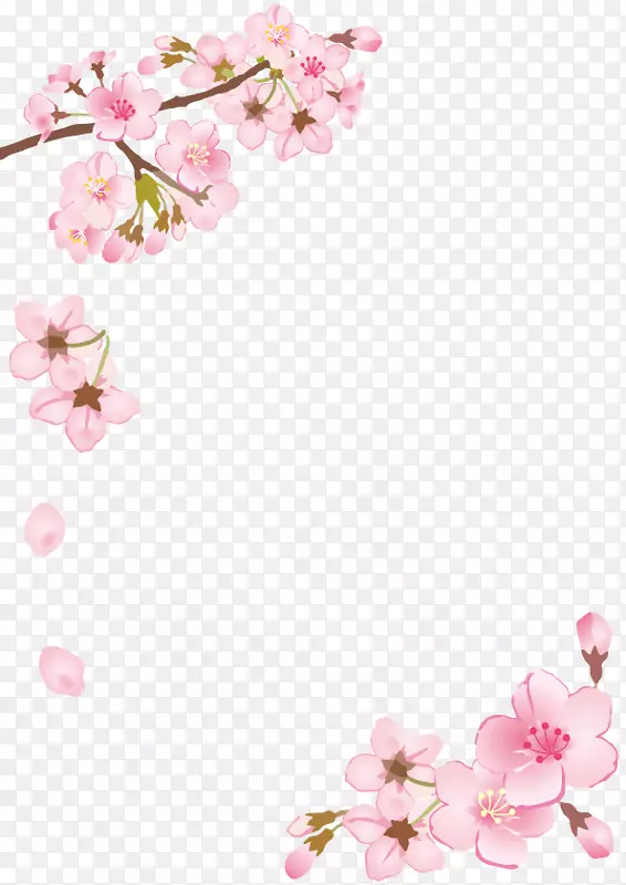樱花框架-春天