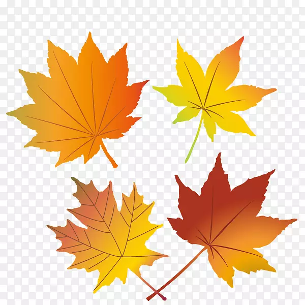 秋天的剪影-红叶插图。