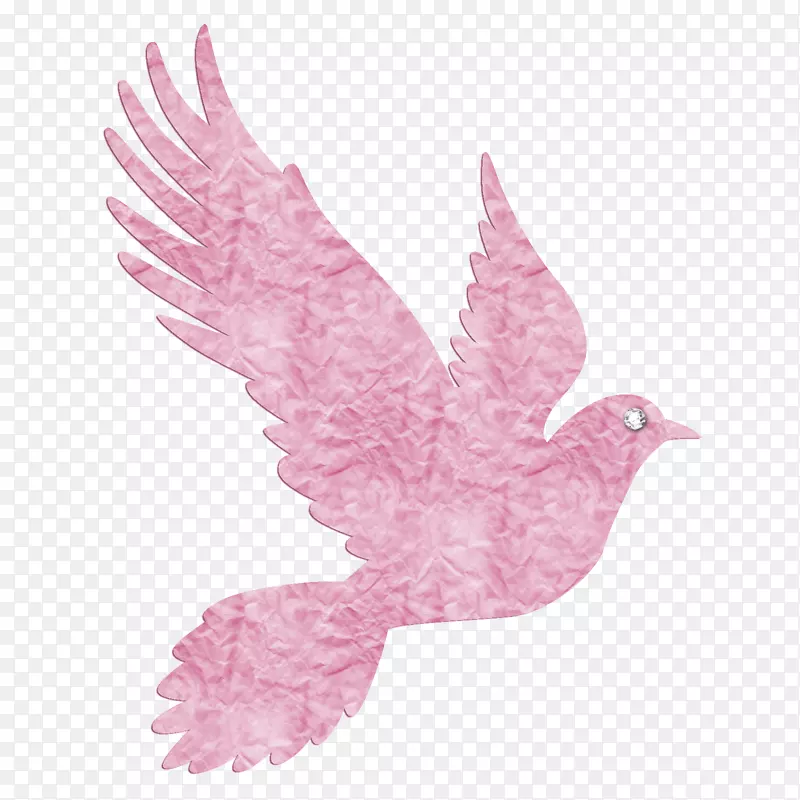 鸽子和鸽子图形剪辑艺术插图-鸟