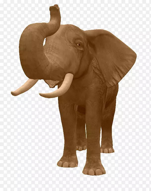 印度象非洲象狗象