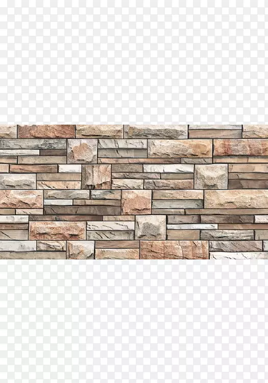 石墙木材长方形-最大的太平洋章鱼尺寸
