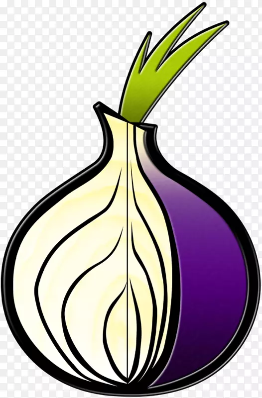 Tor浏览器.洋葱匿名洋葱路由-洋葱