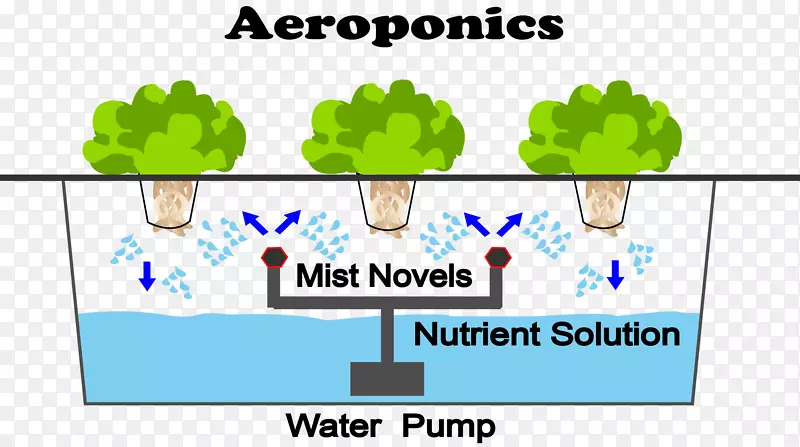空气负离子水培农业系统组织-水培箱蔬菜