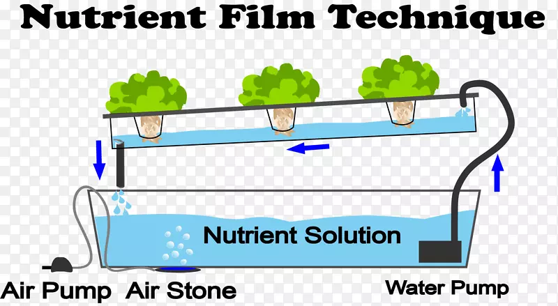 营养膜技术，水培园艺，水培-水培箱蔬菜