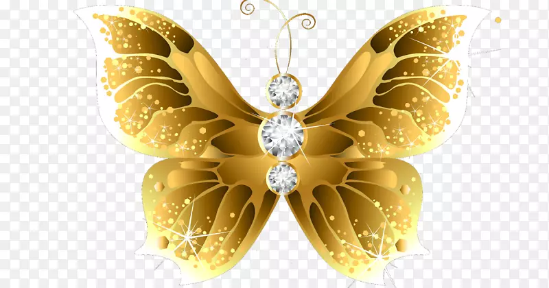 金色蝴蝶桌面壁纸昆虫蝴蝶